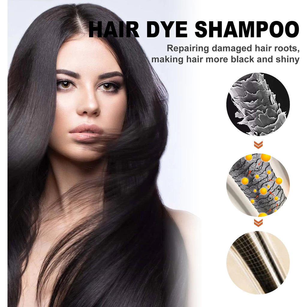 Black Hair Dye Restorative and Color Shampoo | Elegantiee