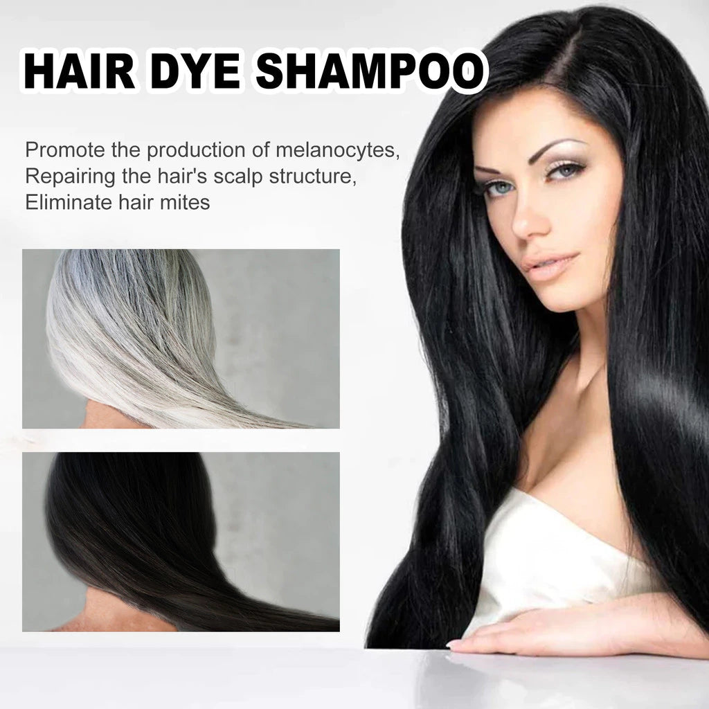 Black Hair Dye Restorative and Color Shampoo | Elegantiee