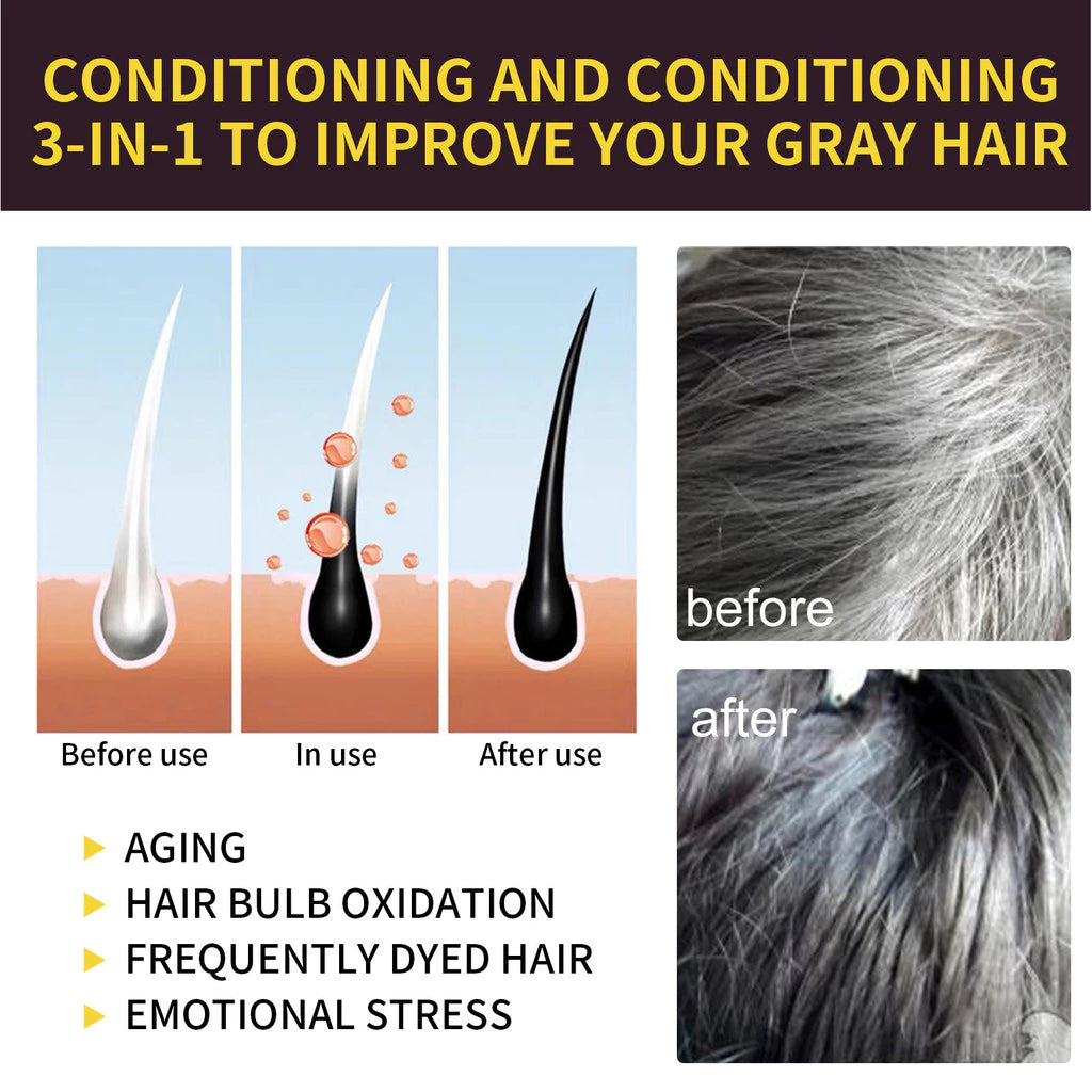 Black Hair Dye Restorative and Color Shampoo | Elegantiee