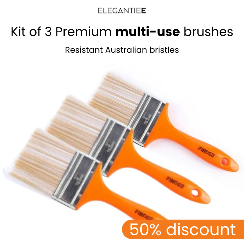 Offerta: Set di 3 Pennelli Premium